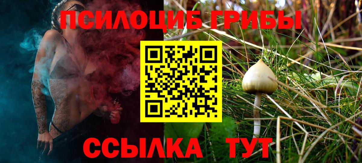 Галлюциногенные грибы Psilocybe Ярославль