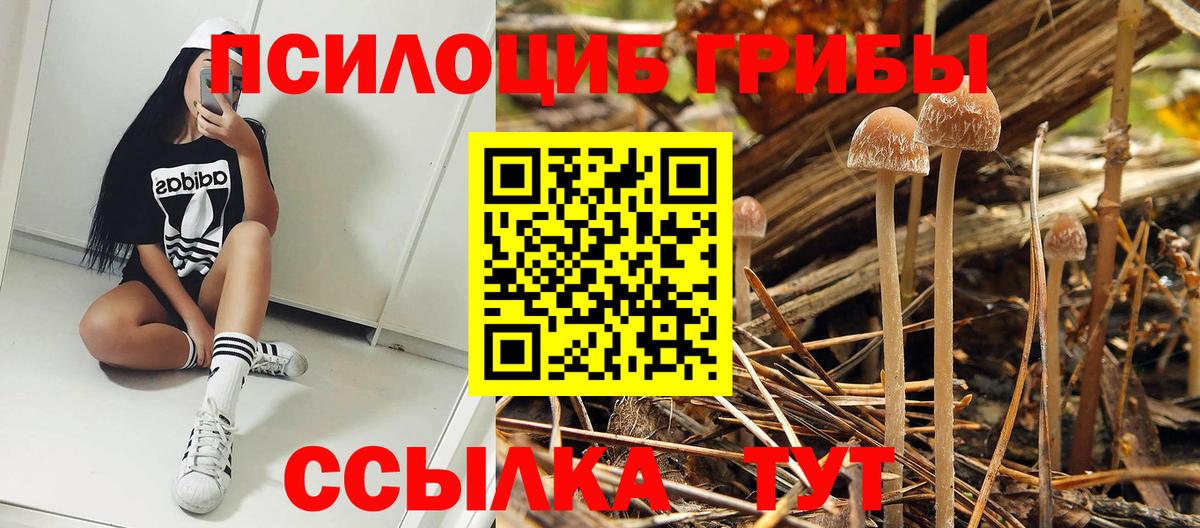 Псилоцибиновые грибы MAGIC MUSHROOMS  Вход с VPN  Ярославль  Псилоцибиновые грибы мицелий 